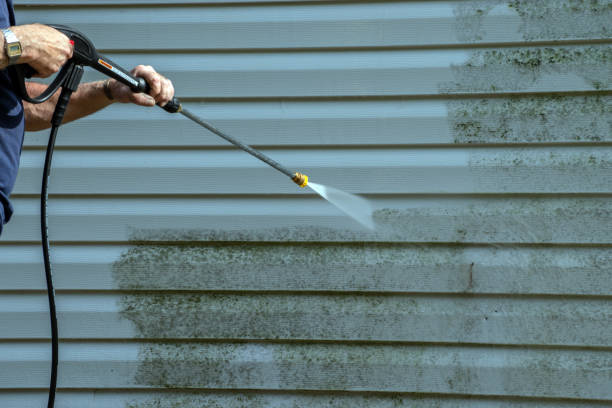 Best Solar Panel Cleaning  in Green Park, MO
